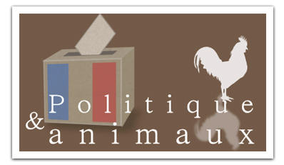 Quelle place les candidats à la présidentielle accordent-ils aux animaux ?