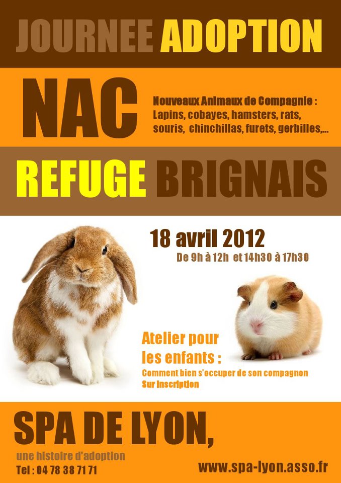 Journée adoption spécial NAC au refuge de Brignais