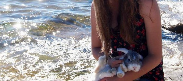 Les vacances d’un lapin au bord de la mer (vidéo)