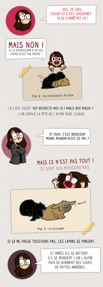 Infographie Lapin 3