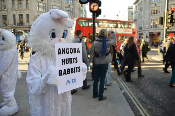 Contre la torture des lapins angoras, les magasins réagissent