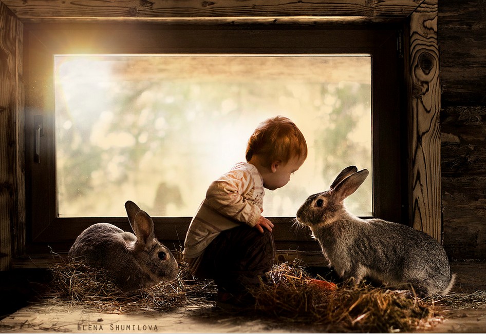 animal-children-photography-elena-shumilova-2