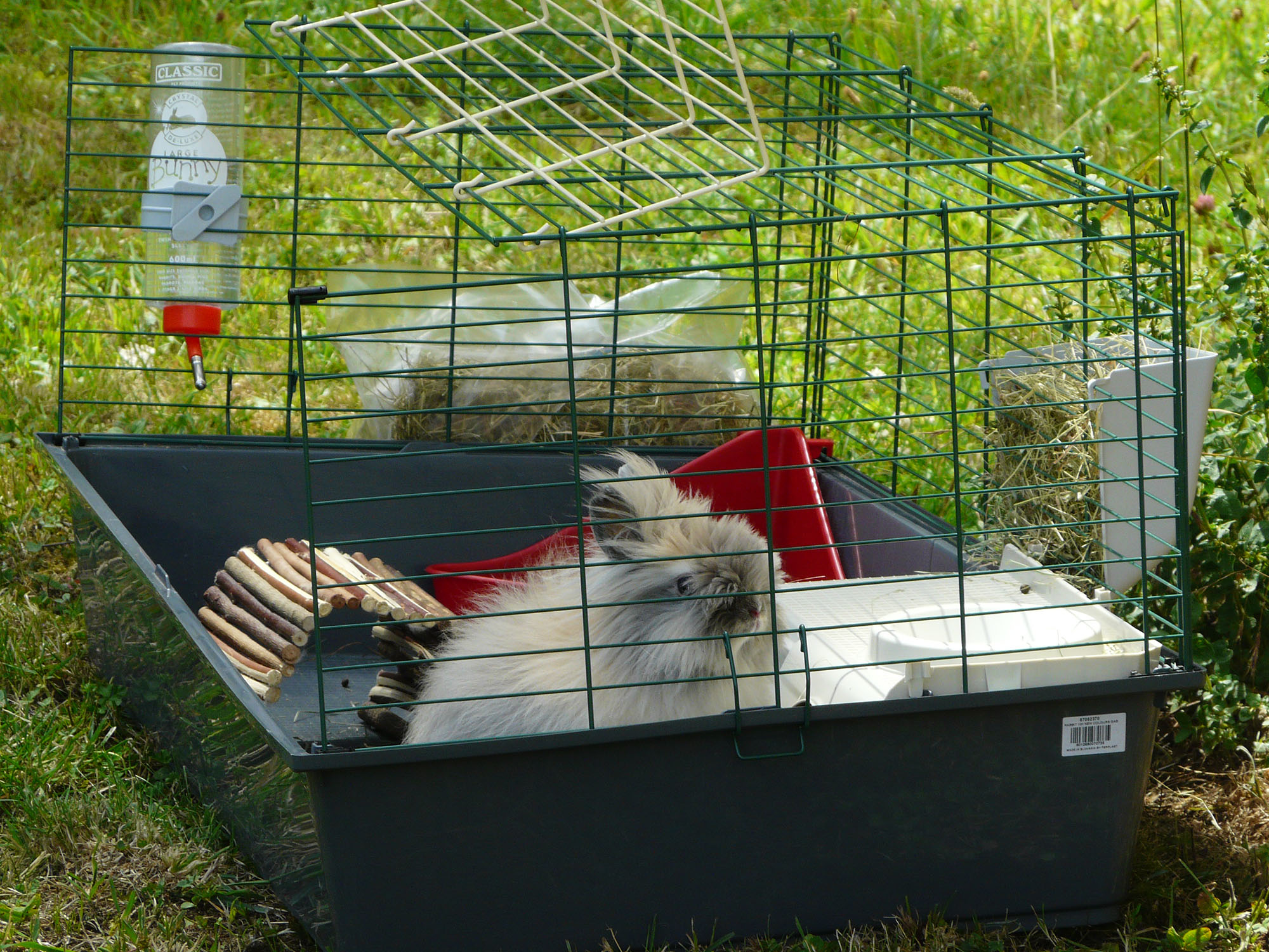 Cage pour lapins