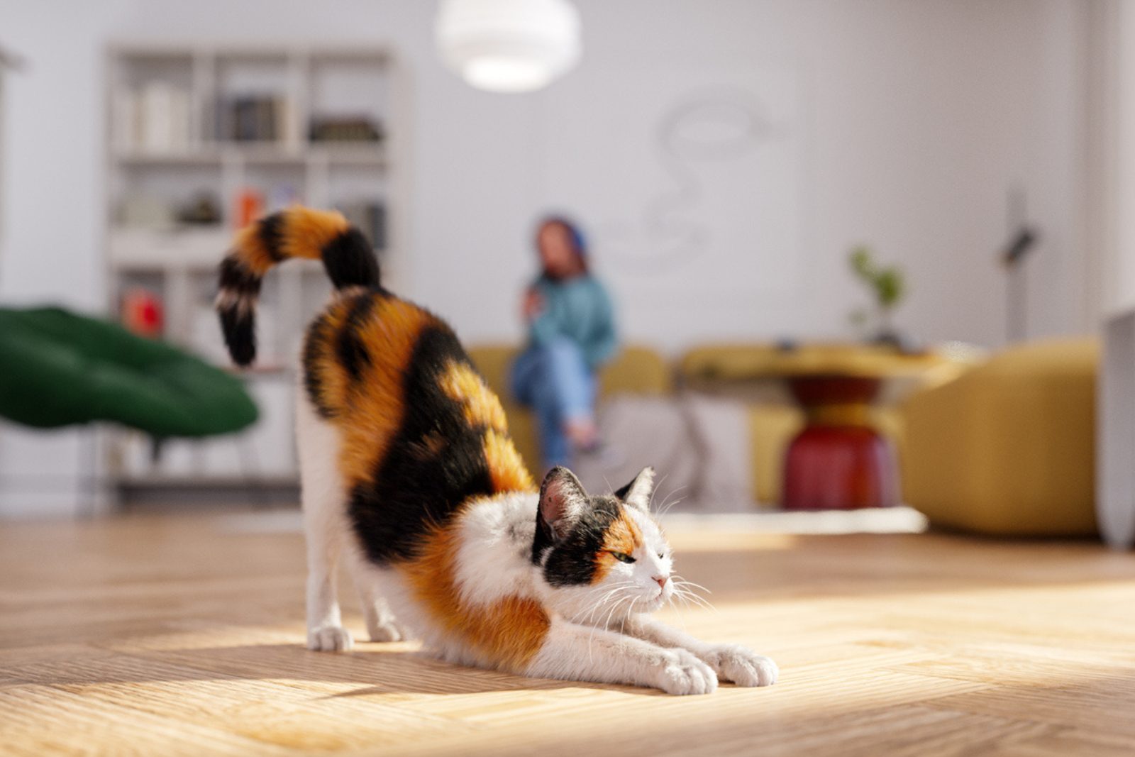 Ils connaissent leur nom mais préfèrent vous ignorer : l’étonnant secret des chats révélé