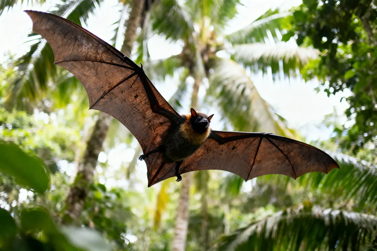Une grande chauve-souris en vol, ailes déployées, dans une jungle luxuriante avec palmiers.