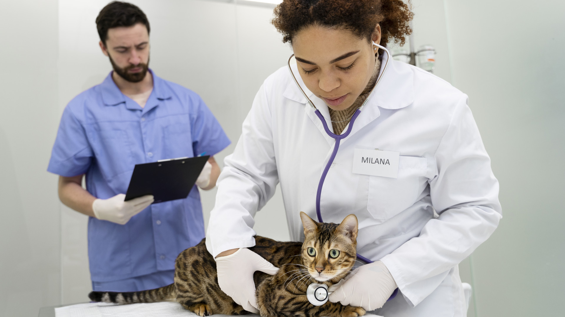 Comment choisir sa clinique vétérinaire ? Les critères qui comptent vraiment